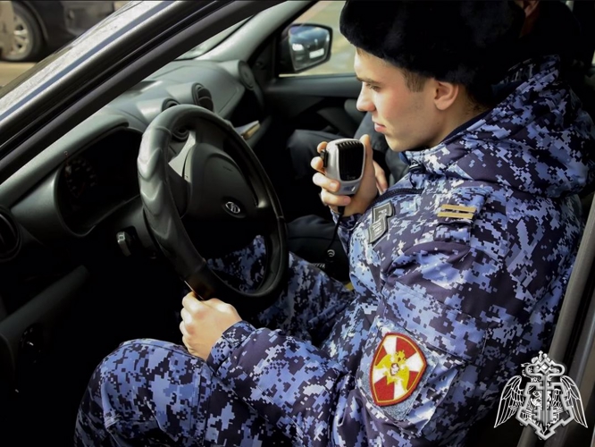 Фотогалерея