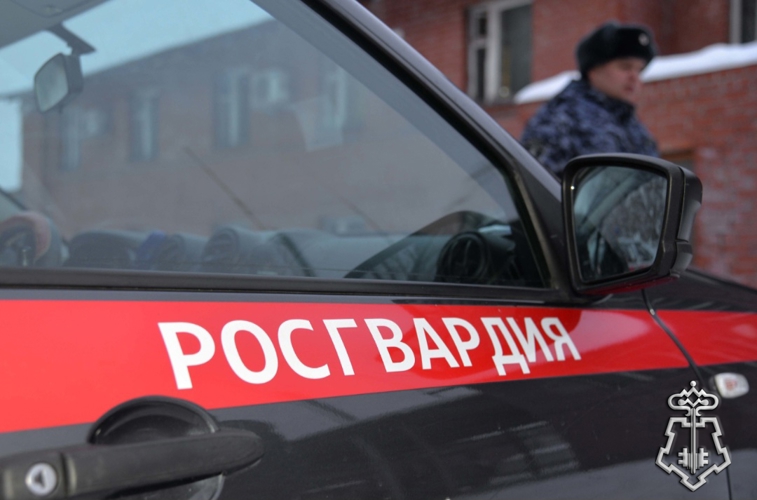 Росгвардейцы помогли автолюбительнице выбраться из снежной ловушки