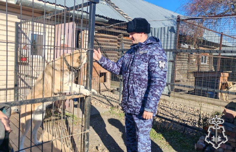 Юргинские росгвардейцы передали помощь в приют для животных