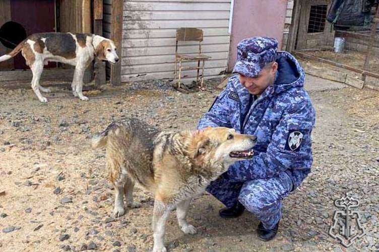 От патрульного маршрута к вольерам: героями рубрики «Знай наших!» стали юргинские росгвардейцы, которые помогают приютам для бездомных животных