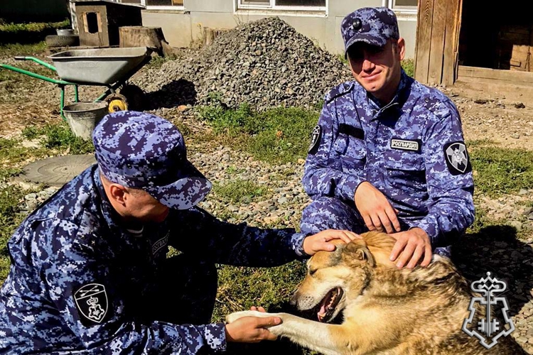 От патрульного маршрута к вольерам: героями рубрики «Знай наших!» стали юргинские росгвардейцы, которые помогают приютам для бездомных животных